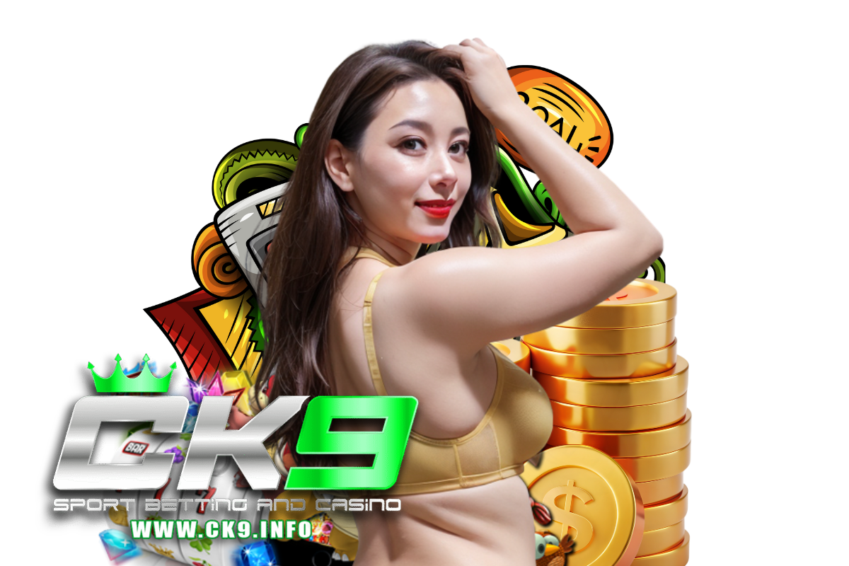 ck9 ทางเข้า